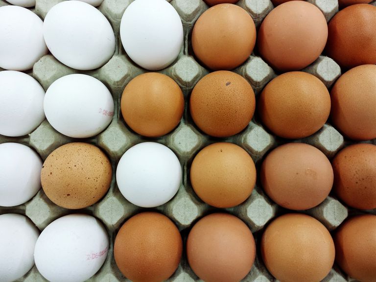 eggene dine, glutenfri diett, bønder ikke, bønder ikke spiser, deler million