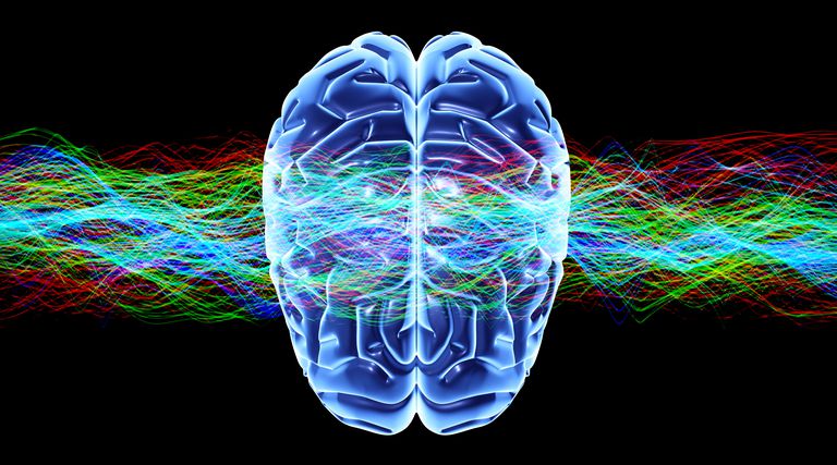 mellom hjernen, autonome nervesystemet, forbinder hjernen, forbinder hjernen tarmene