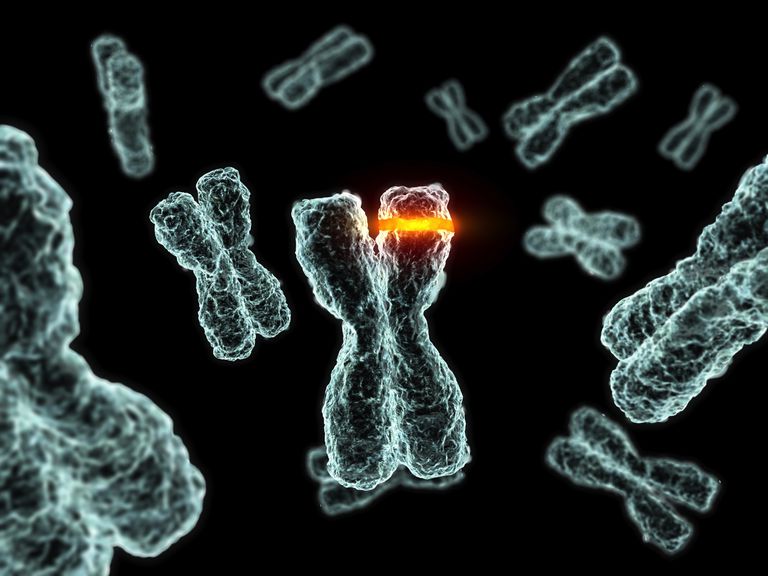 cellene våre, genetiske endringer, genetiske forandringer, leukemi akutt, annet kromosom