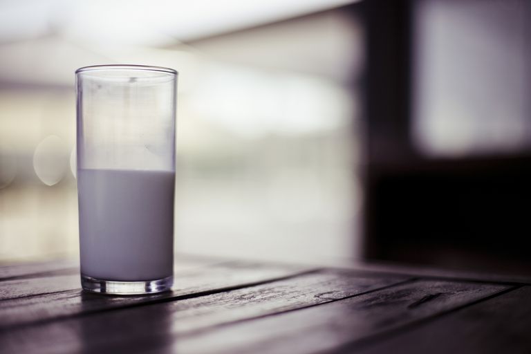 kumelk melk, melk protein, protein gjør, rismelk ikke