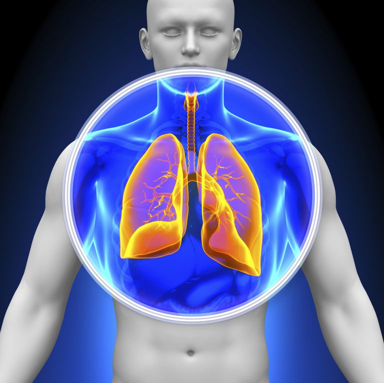 Stort cellekarsinom, typer lungekreft, denne typen, Denne typen lungekreft, prosent lungekreftene, småcellet lungekreft
