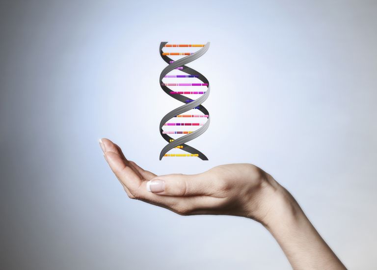 faktisk utvikle, genetisk rådgiver, genetisk testing, genetisk testing cøliaki, gjennom 23andMe, resultatene dine