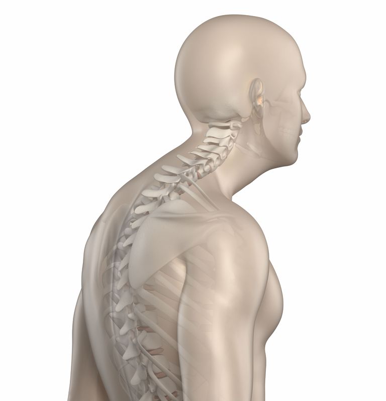 dorsal kyphos, eller midterste, eller overstretched, kroppen siden