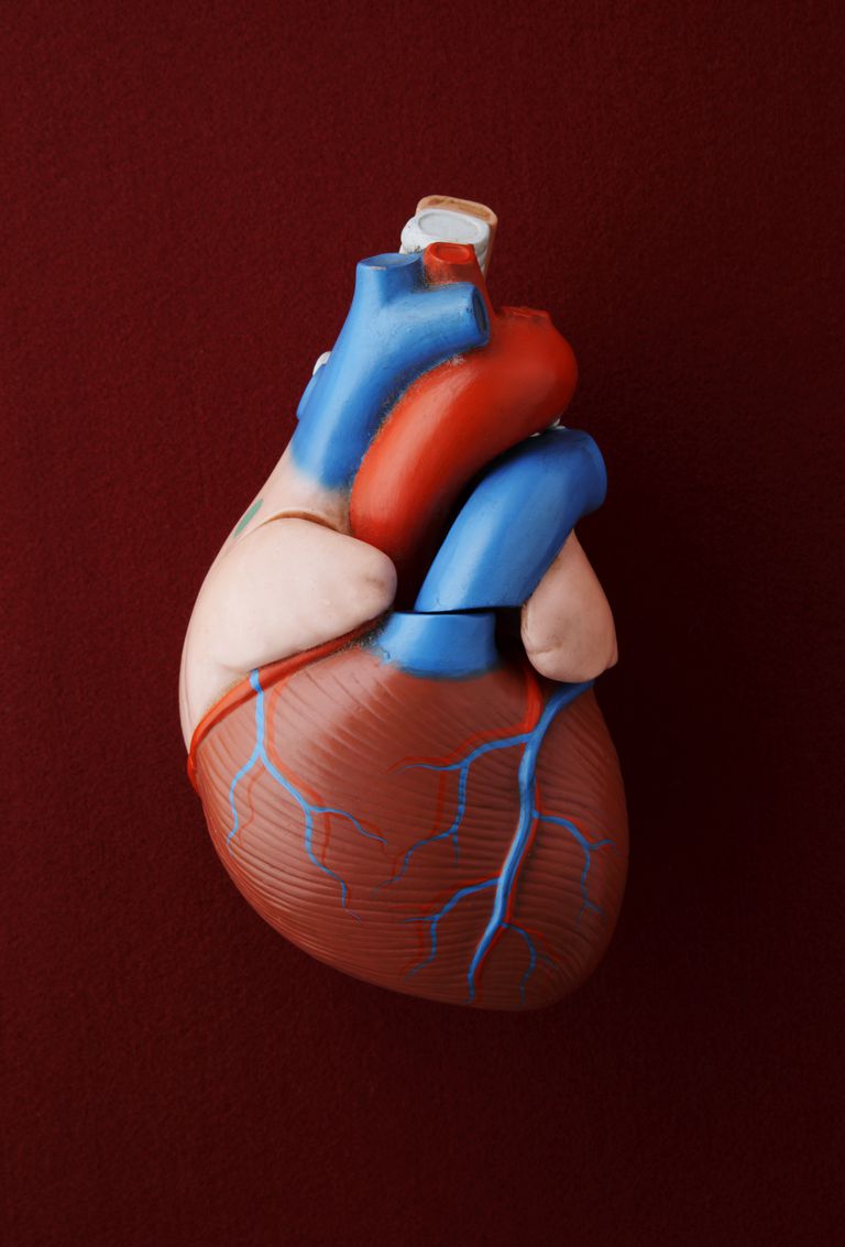 ejection fraksjon, hvert hjerteslag, venstre ventrikel, andelen blod, blir redusert, delvis fordi