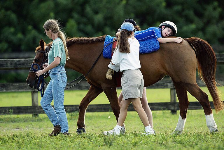 Equine terapi, bevisbasert praksis, hestebasert terapi, jobbe hester