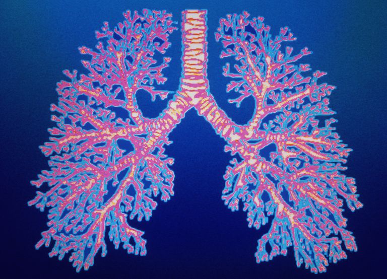 luft lungene, luft lungene kalles, lungene kalles