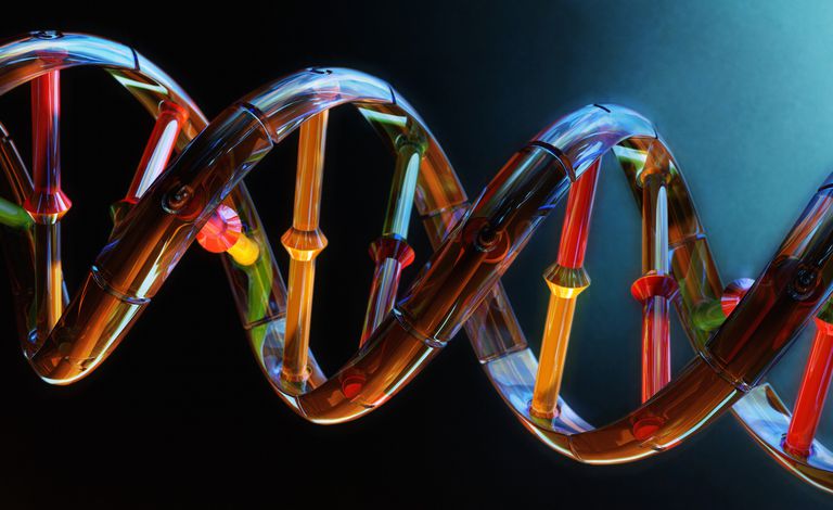 genetisk testing, genetiske sminke, deres gener, personlig medisin