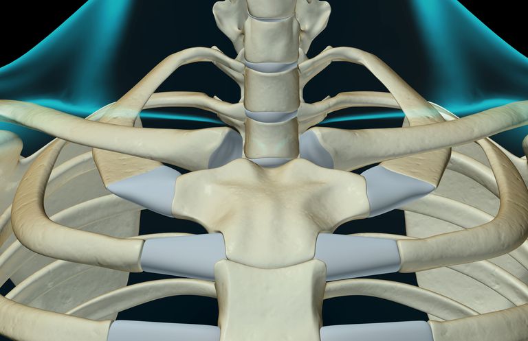 posterior dislokasjon, eller posterior, eller posterior dislokasjon, flytte SC-leddet, fremre dislokasjon