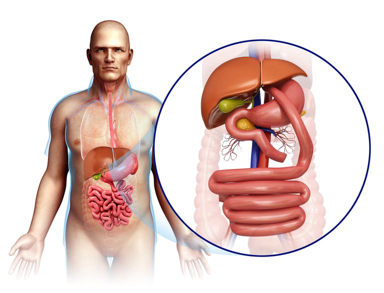 delen magen, etter operasjonen, fleste pasienter, biliopancreatisk avledning, brukes kroppen