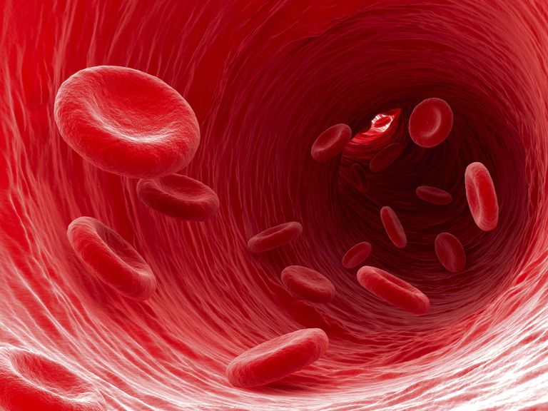 polycytemi vera, røde blodlegemer, denne tilstanden, mange røde