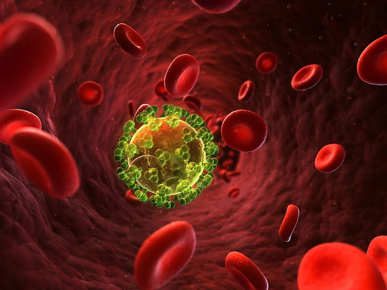 T-hjelper T-hjelper, fungerende CD4-celler, kubikk millimeter, kubikk millimeter blod, millimeter blod, T-celler hvorfor
