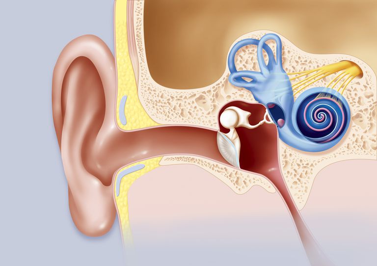 migrene tinnitus, tinnitus migrene, mellom tinnitus, hvordan tinnitus, mellom migrene