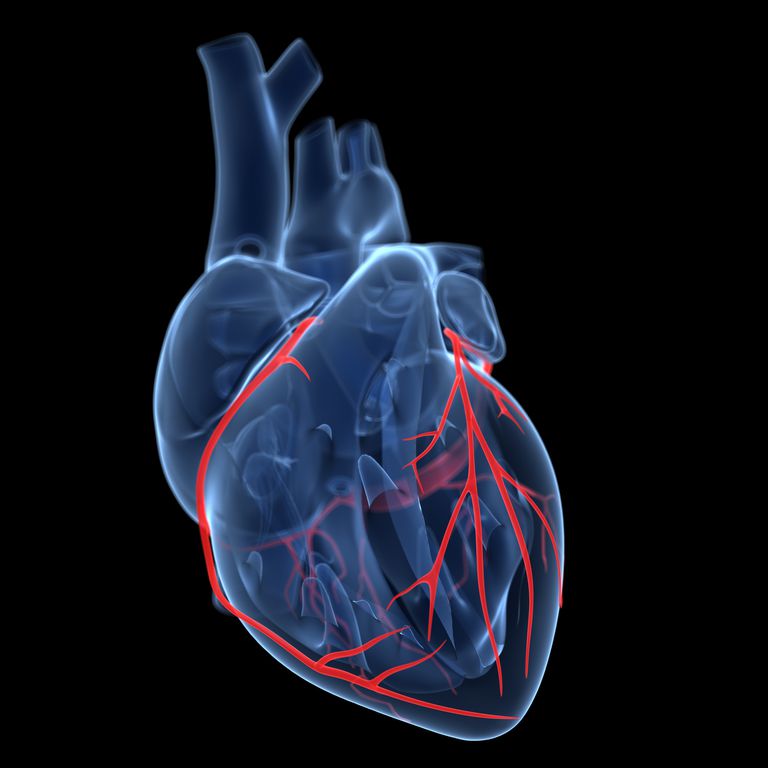 hjerteinfarkt oppstår, blokkert hjertemuskelen, dette bildet, dette kalles, dominerende hjerte