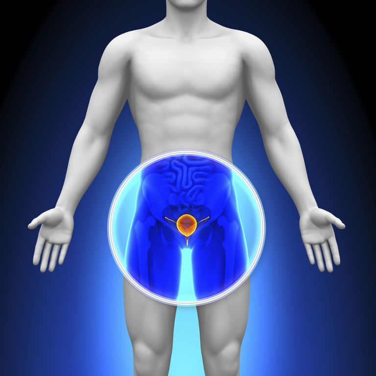 prostata kreft, prostata kjertler, relatert prostatakreft, tidlig stadium, praktisk talt